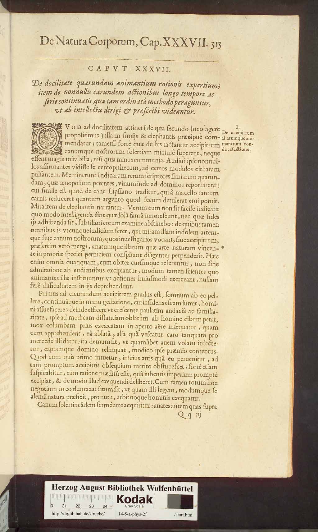 http://diglib.hab.de/drucke/14-5-a-phys-2f/00435.jpg