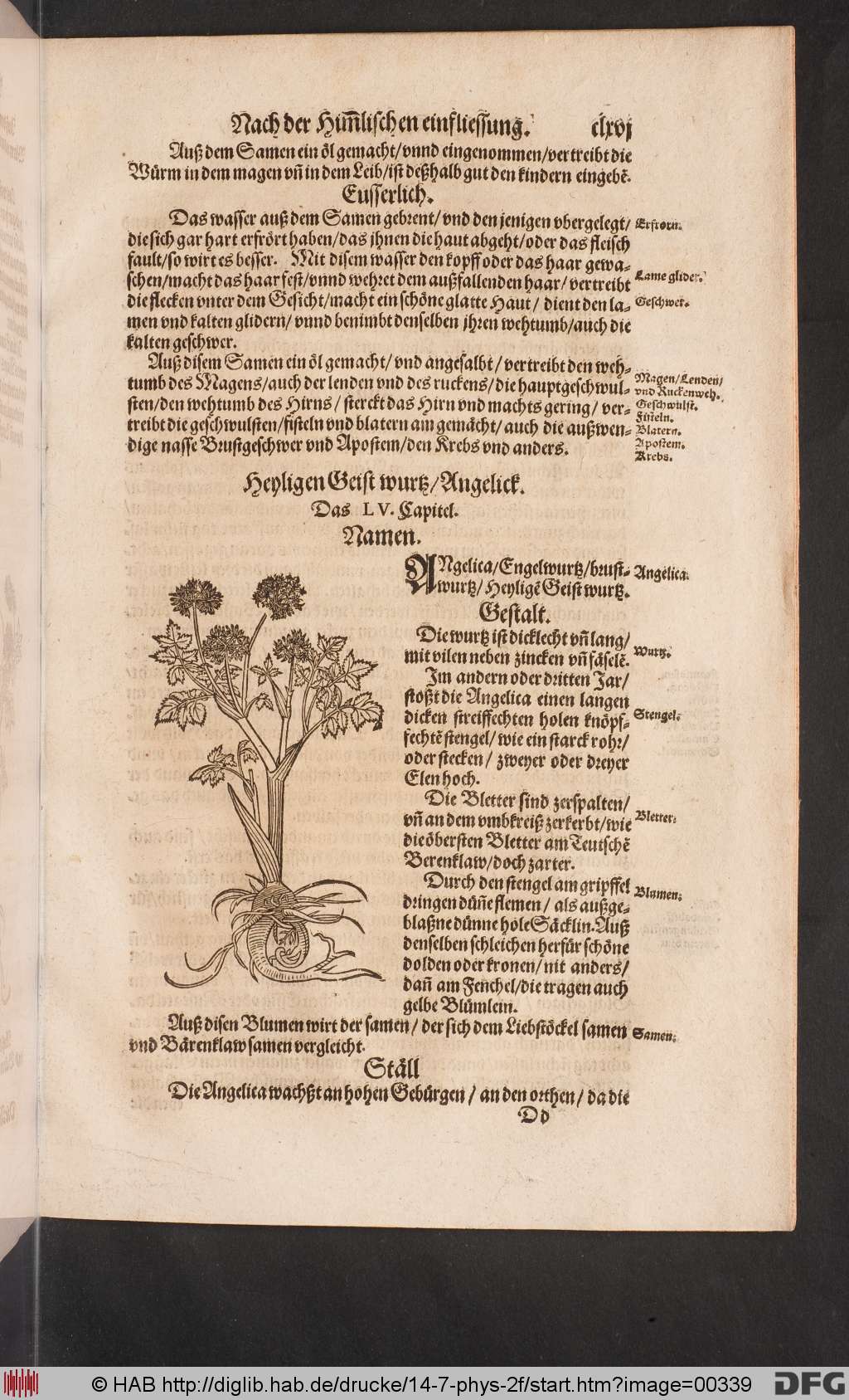 http://diglib.hab.de/drucke/14-7-phys-2f/00339.jpg