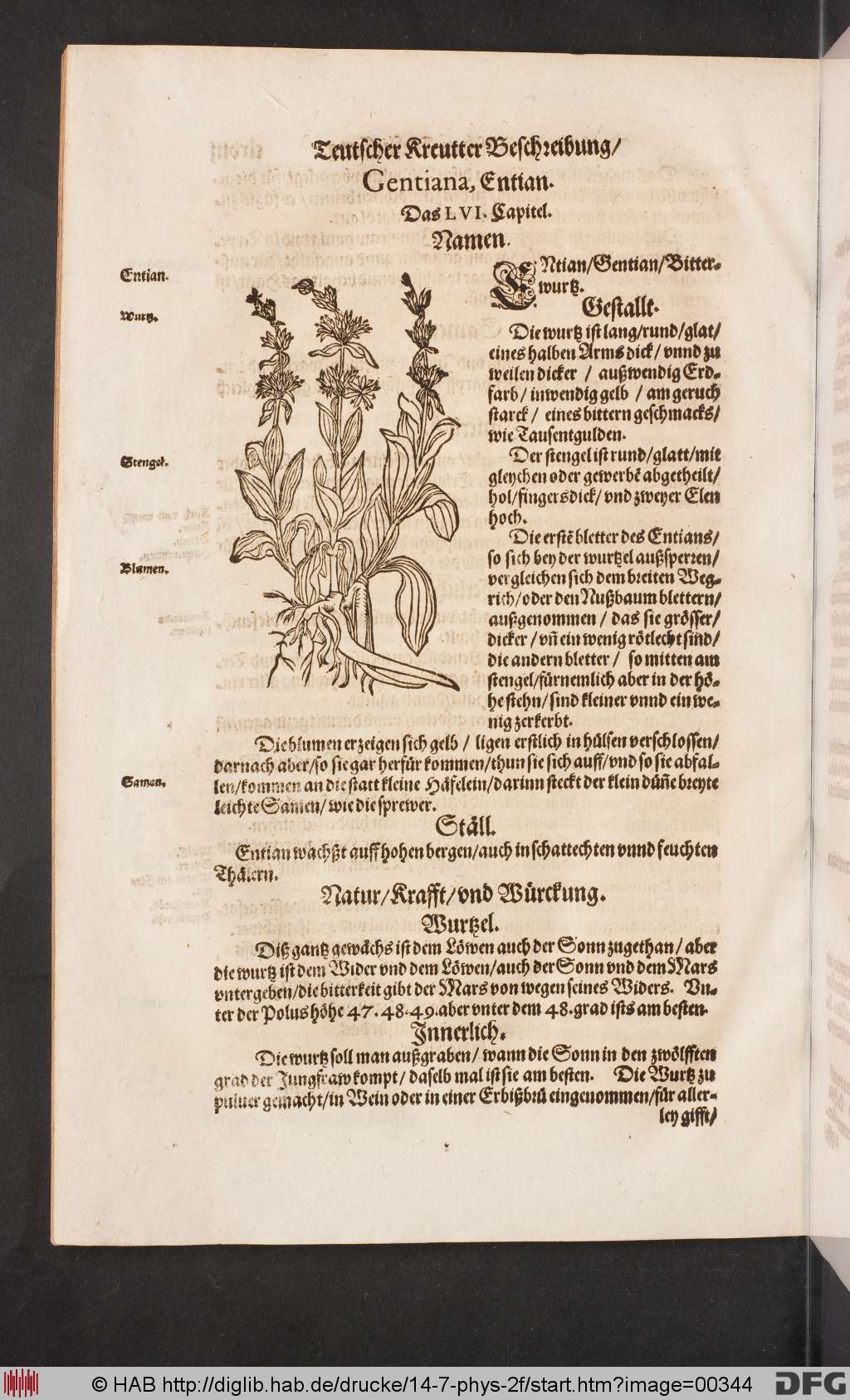 http://diglib.hab.de/drucke/14-7-phys-2f/00344.jpg