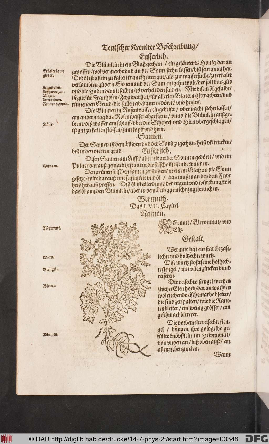http://diglib.hab.de/drucke/14-7-phys-2f/00348.jpg