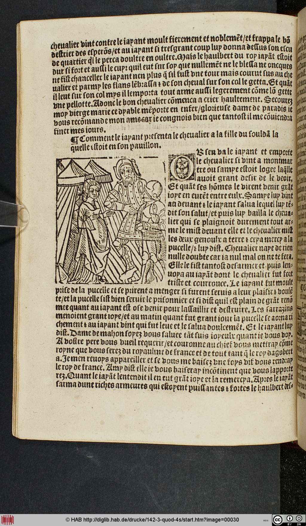 http://diglib.hab.de/drucke/142-3-quod-4s/00030.jpg