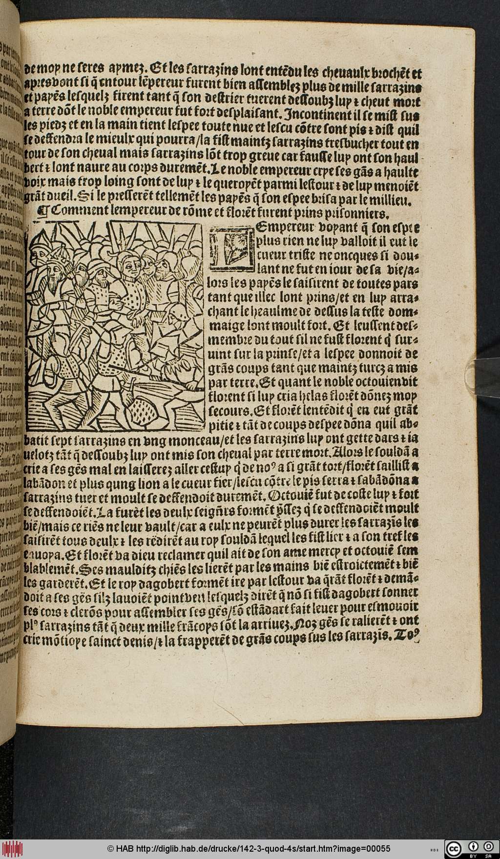 http://diglib.hab.de/drucke/142-3-quod-4s/00055.jpg