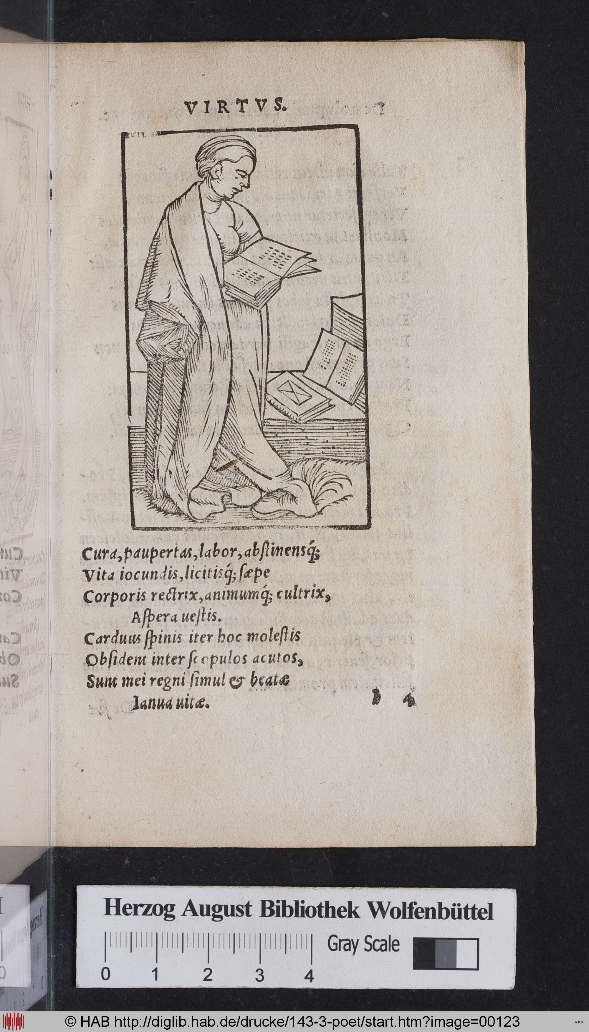 http://diglib.hab.de/drucke/143-3-poet/max/00123.jpg