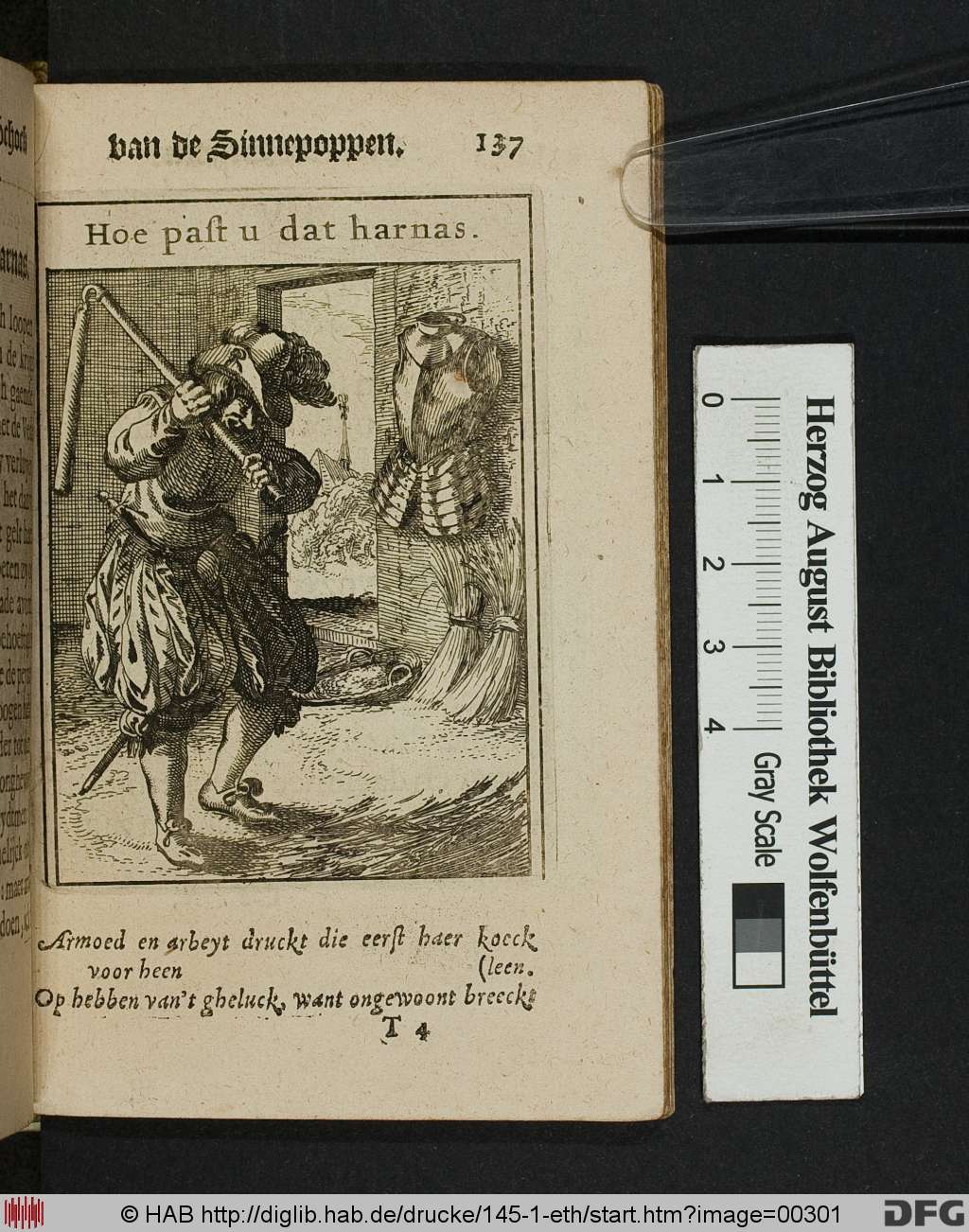 http://diglib.hab.de/drucke/145-1-eth/00301.jpg