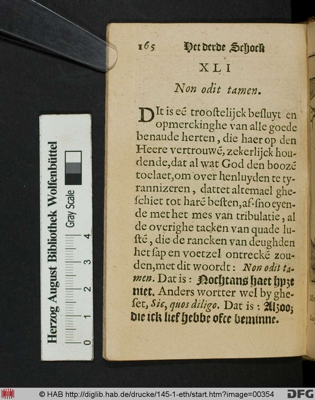 http://diglib.hab.de/drucke/145-1-eth/00354.jpg