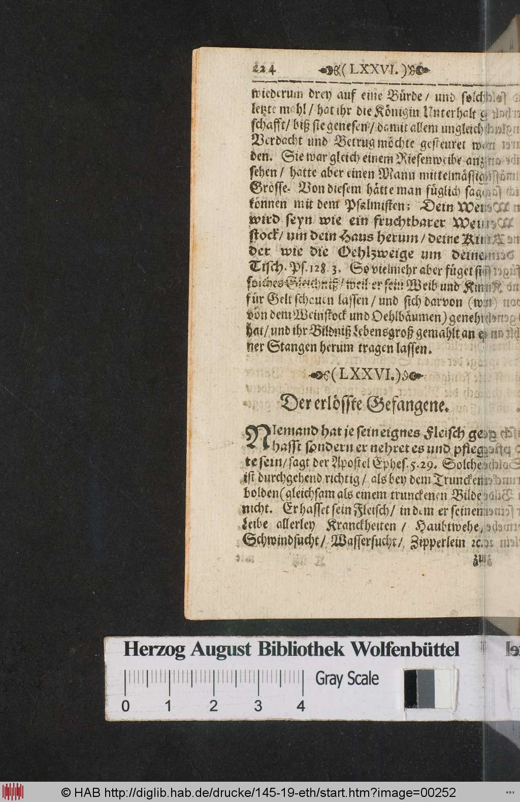 http://diglib.hab.de/drucke/145-19-eth/00252.jpg