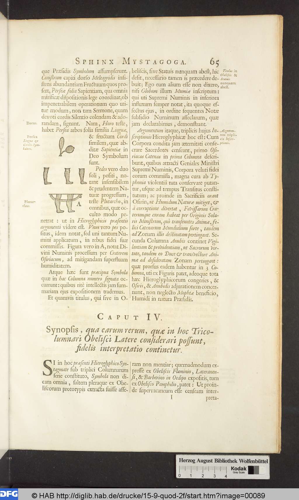 http://diglib.hab.de/drucke/15-9-quod-2f/00089.jpg