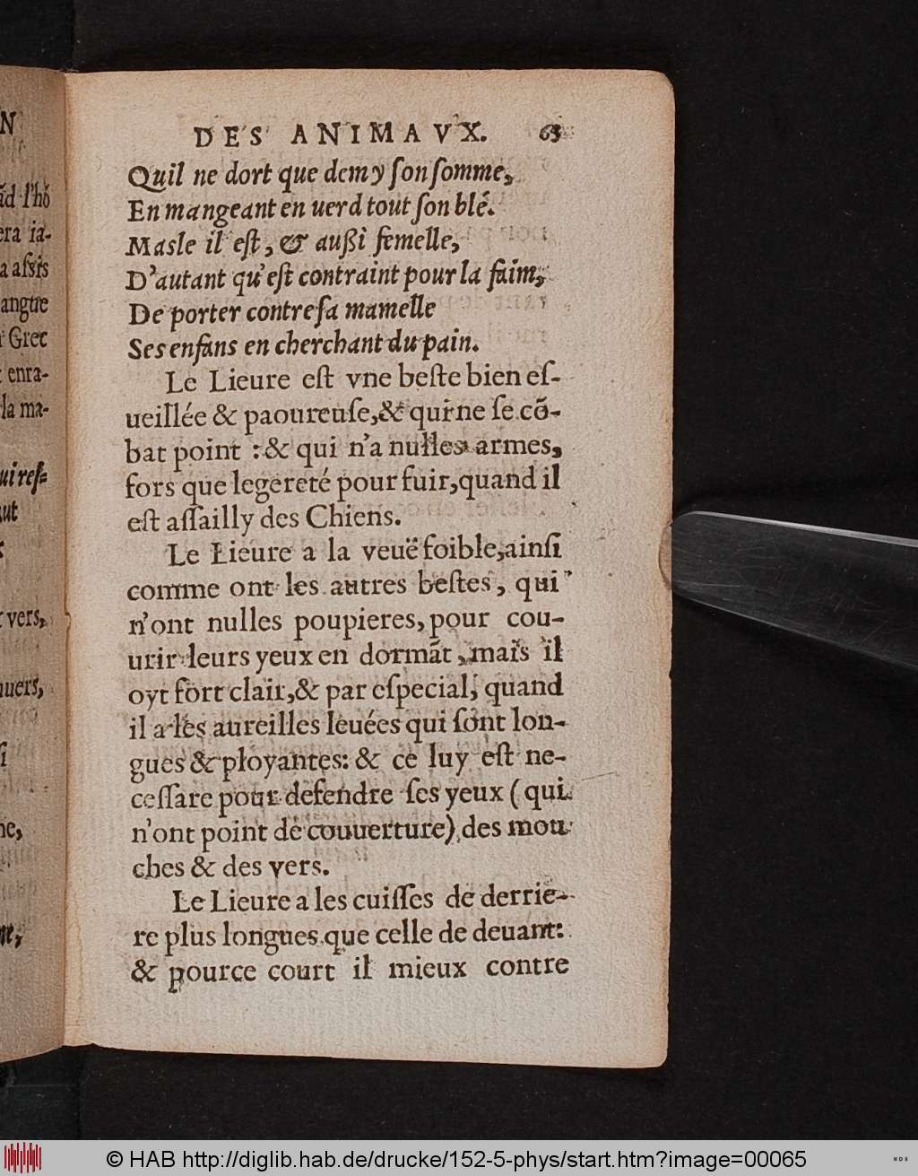 http://diglib.hab.de/drucke/152-5-phys/00065.jpg