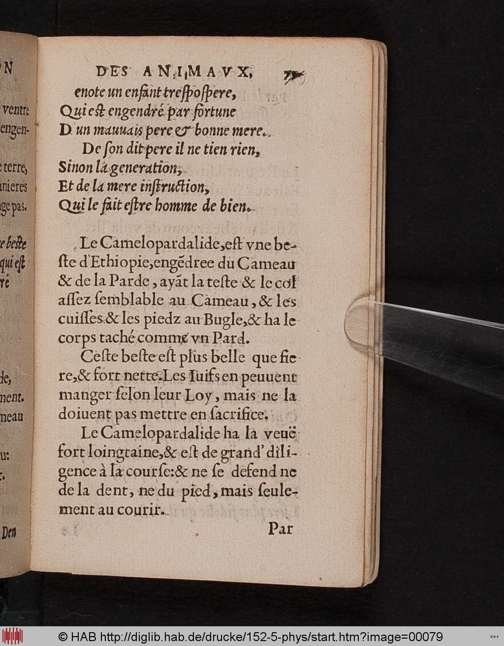 http://diglib.hab.de/drucke/152-5-phys/00079.jpg