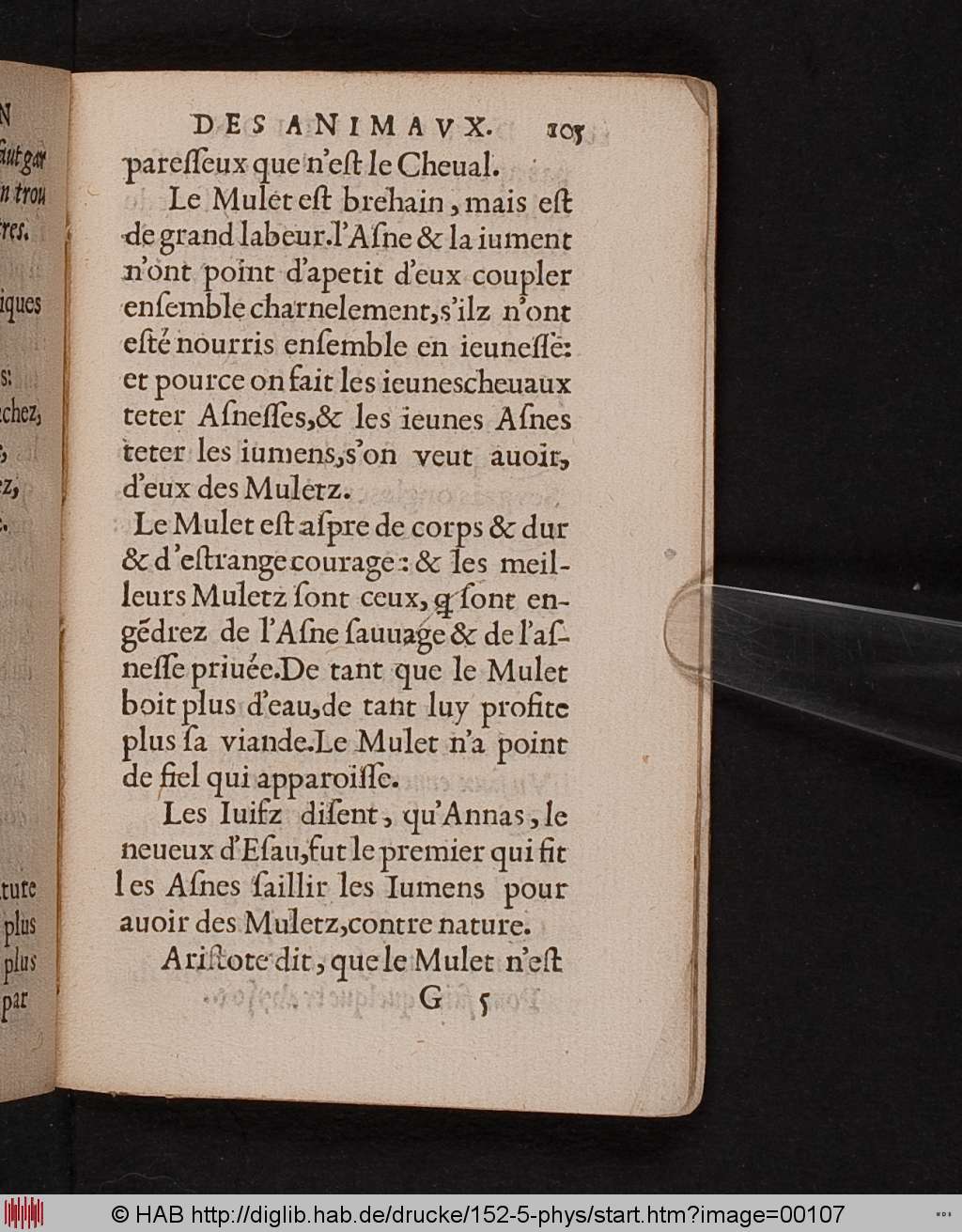 http://diglib.hab.de/drucke/152-5-phys/00107.jpg