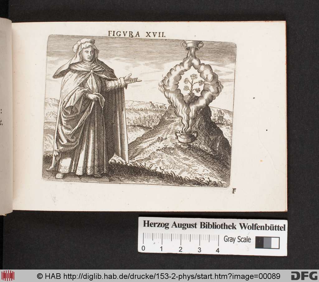http://diglib.hab.de/drucke/153-2-phys/00089.jpg