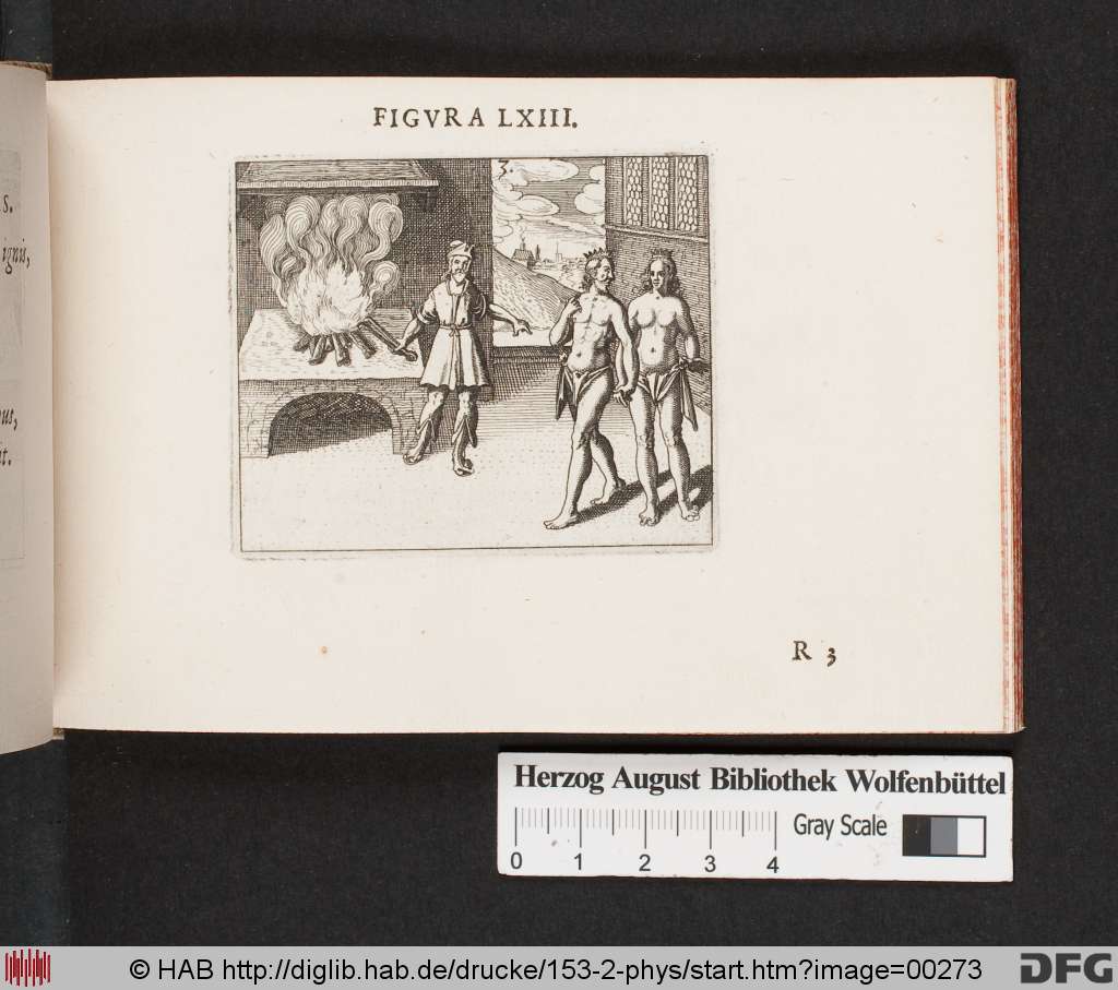 http://diglib.hab.de/drucke/153-2-phys/00273.jpg
