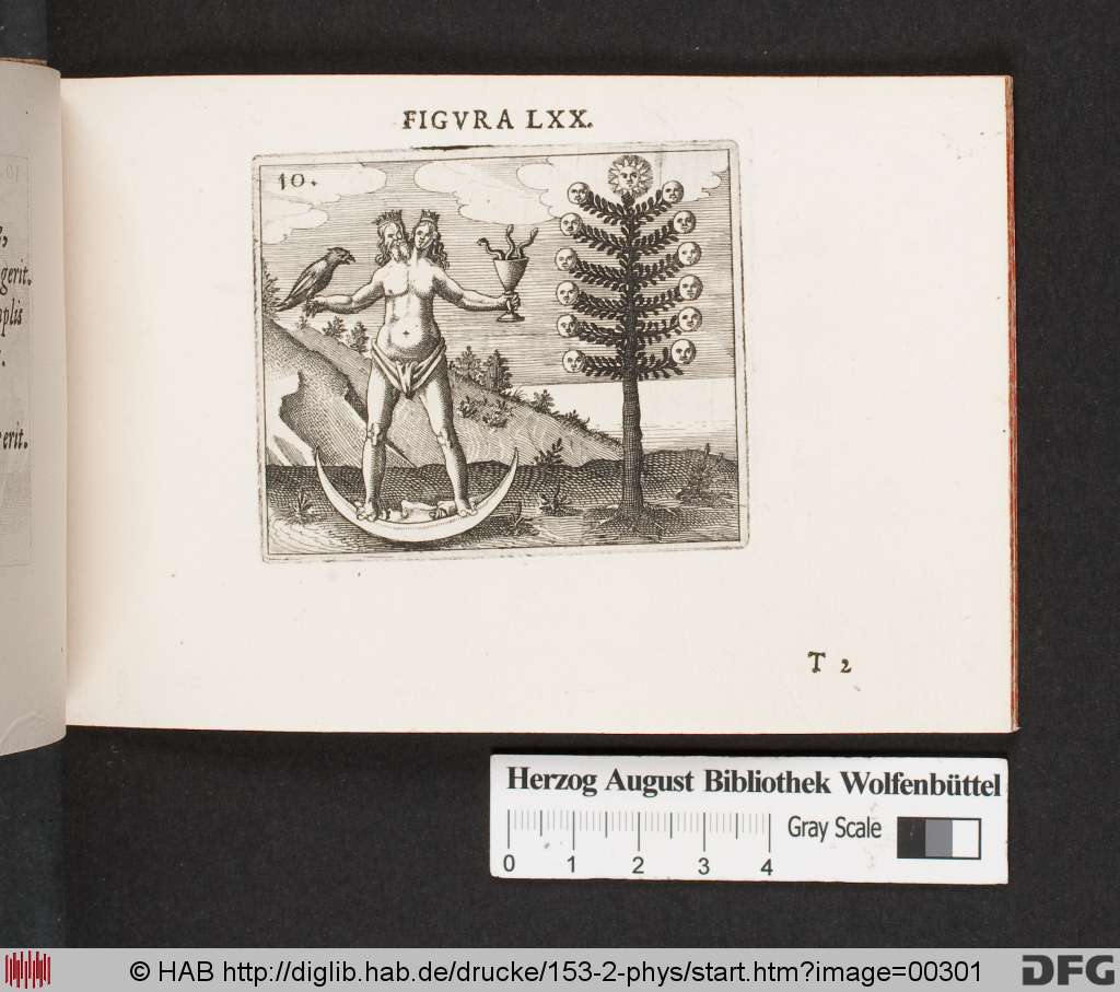 http://diglib.hab.de/drucke/153-2-phys/00301.jpg