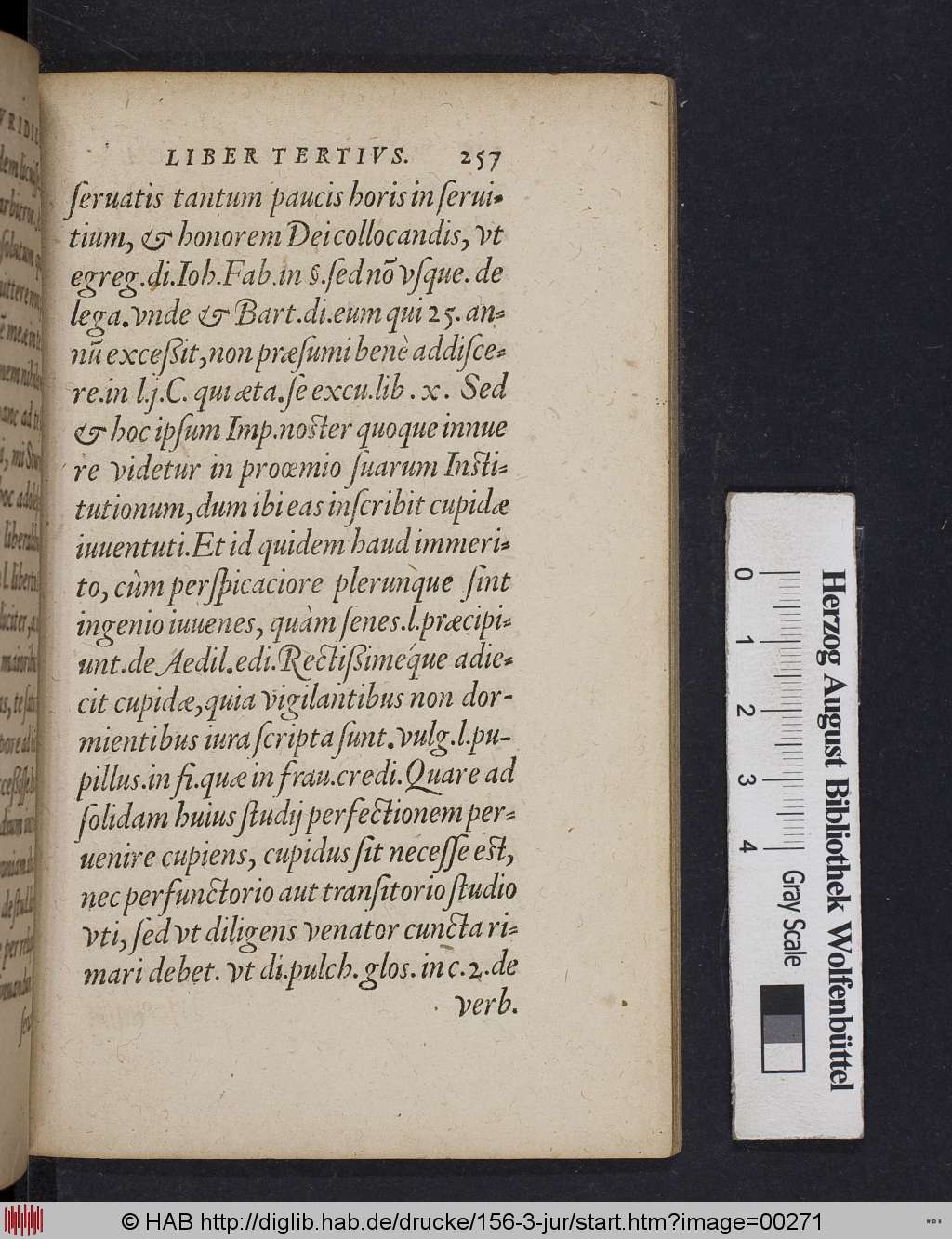 http://diglib.hab.de/drucke/156-3-jur/00271.jpg