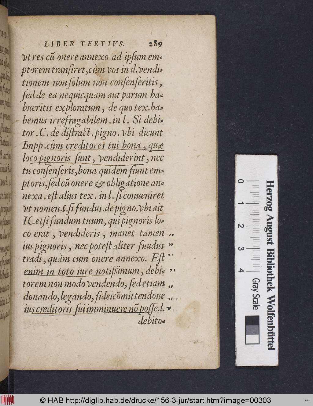 http://diglib.hab.de/drucke/156-3-jur/00303.jpg