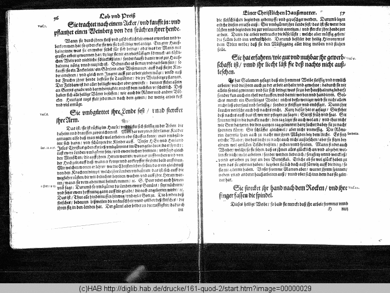 http://diglib.hab.de/drucke/161-quod-2/min/00000029.gif