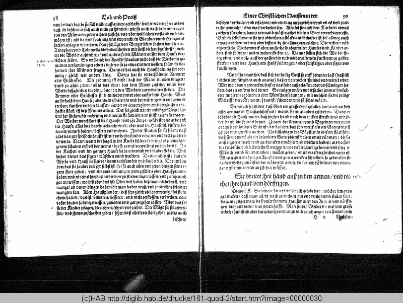 http://diglib.hab.de/drucke/161-quod-2/min/00000030.gif