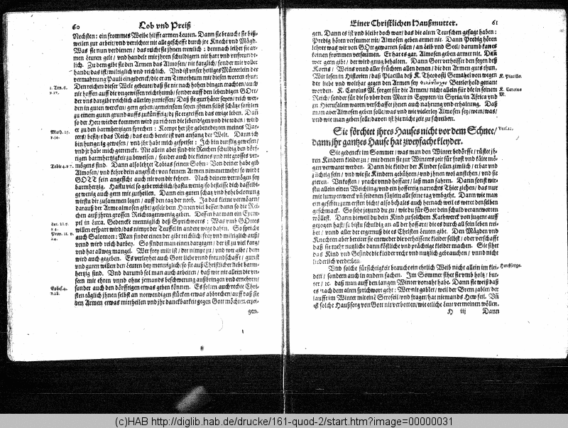http://diglib.hab.de/drucke/161-quod-2/min/00000031.gif