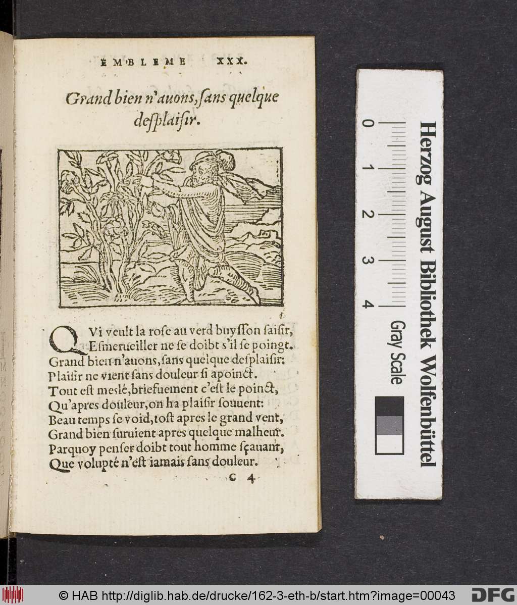 http://diglib.hab.de/drucke/162-3-eth-b/00043.jpg