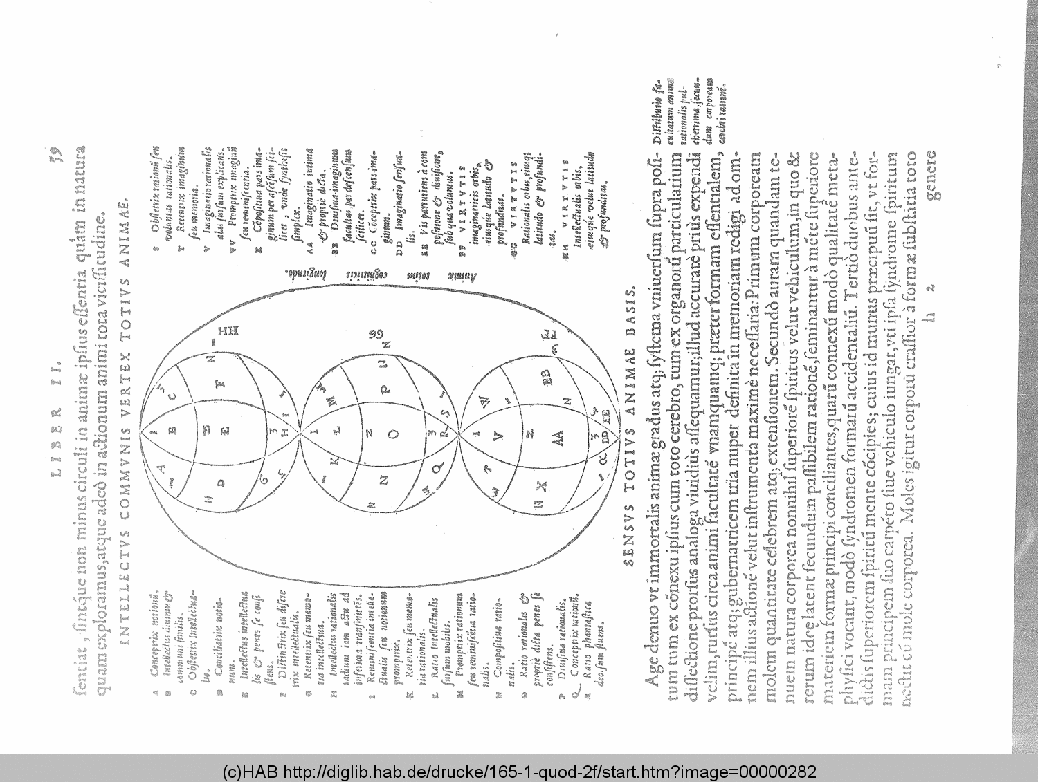 http://diglib.hab.de/drucke/165-1-quod-2f/00000282.gif