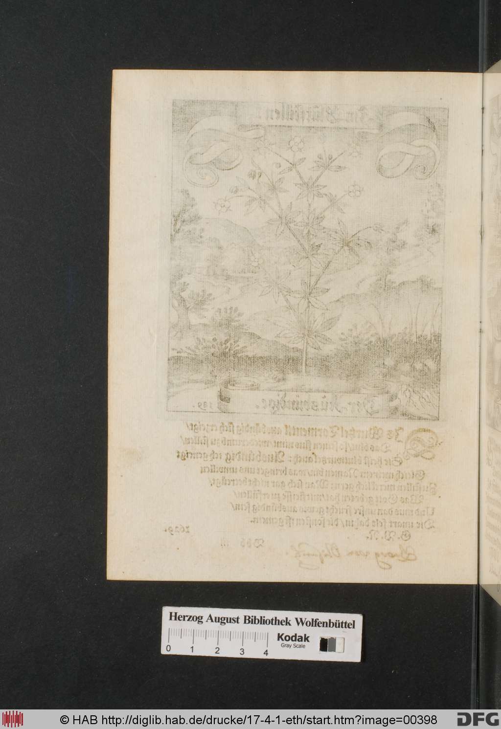 http://diglib.hab.de/drucke/17-4-1-eth/00398.jpg