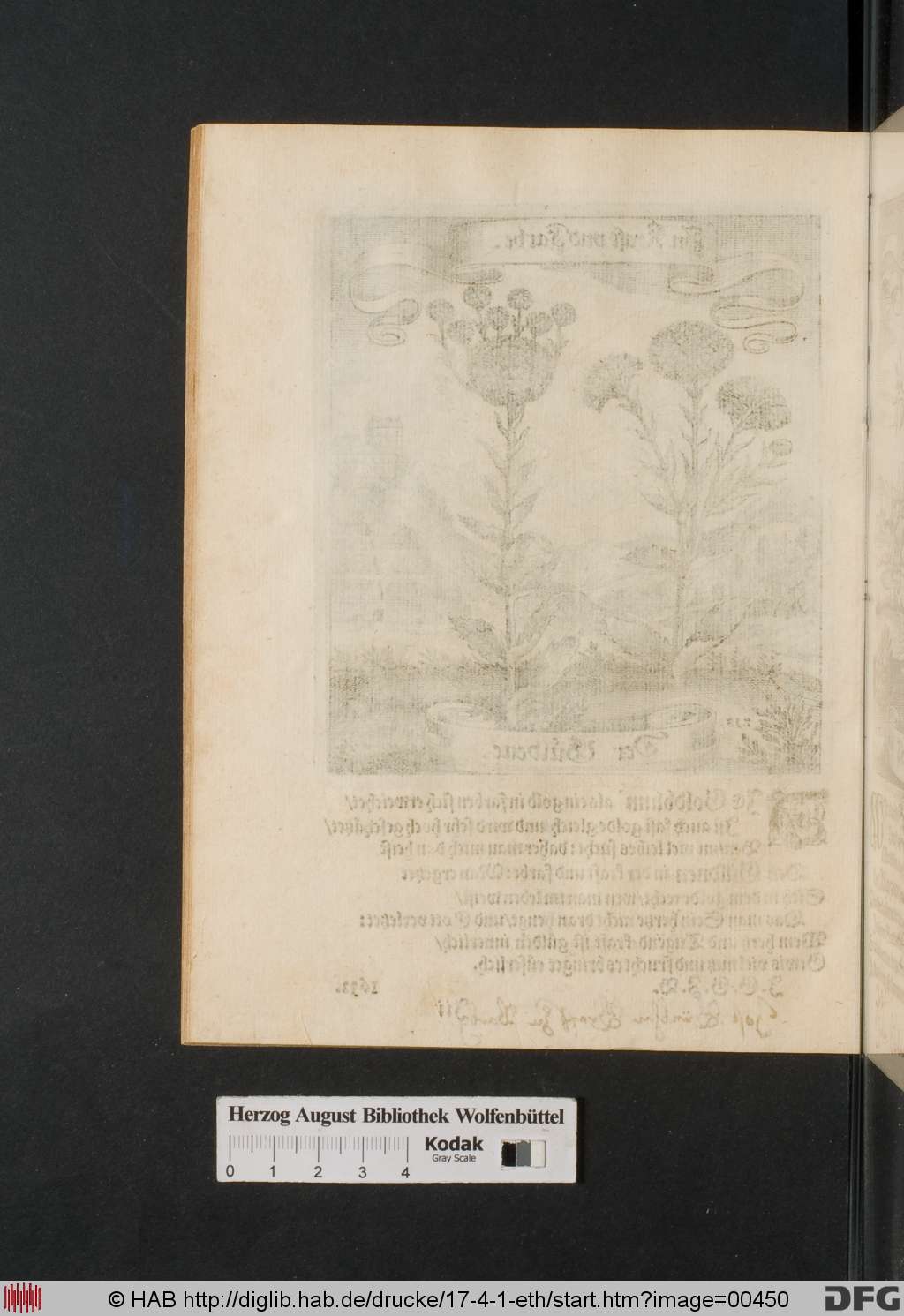 http://diglib.hab.de/drucke/17-4-1-eth/00450.jpg
