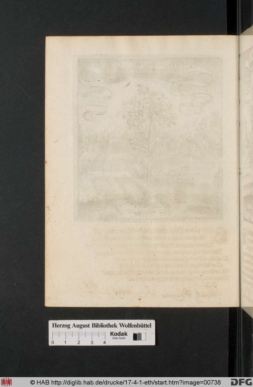 http://diglib.hab.de/drucke/17-4-1-eth/00738.jpg