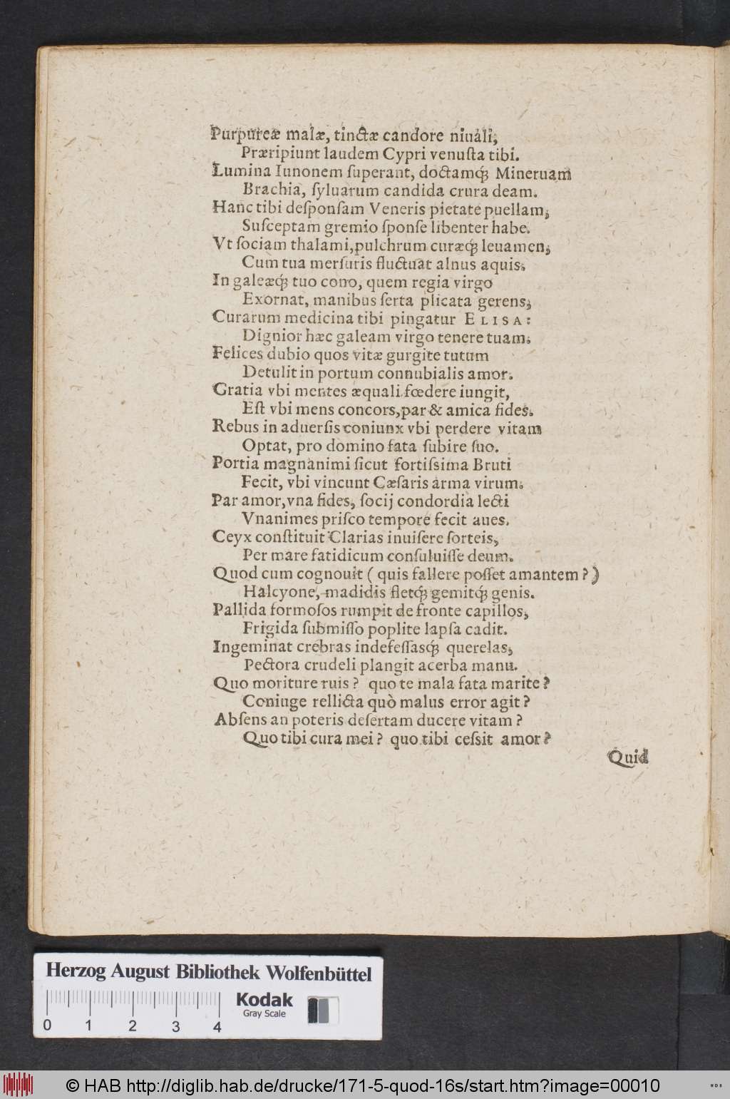 http://diglib.hab.de/drucke/171-5-quod-16s/00010.jpg