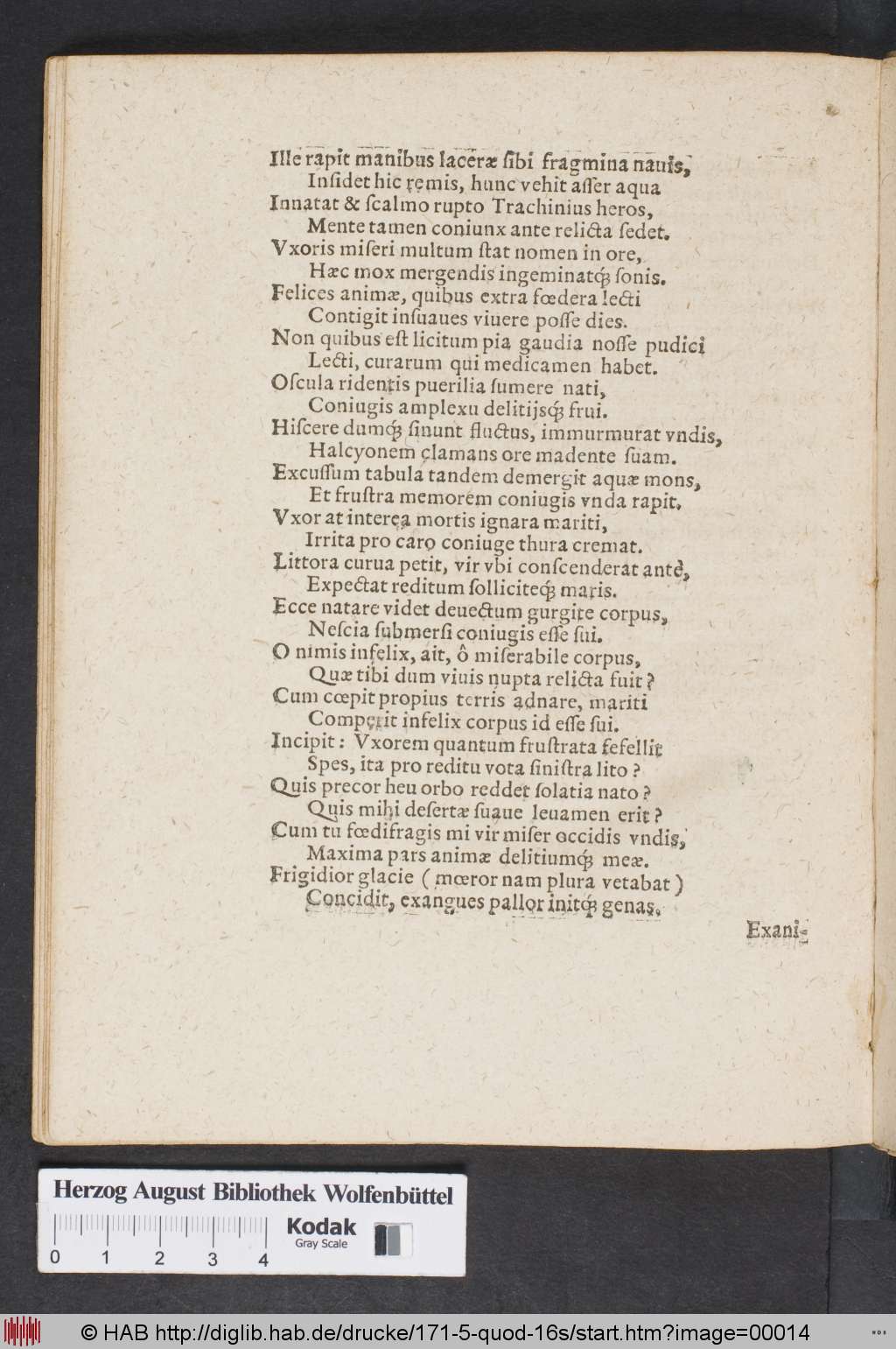 http://diglib.hab.de/drucke/171-5-quod-16s/00014.jpg
