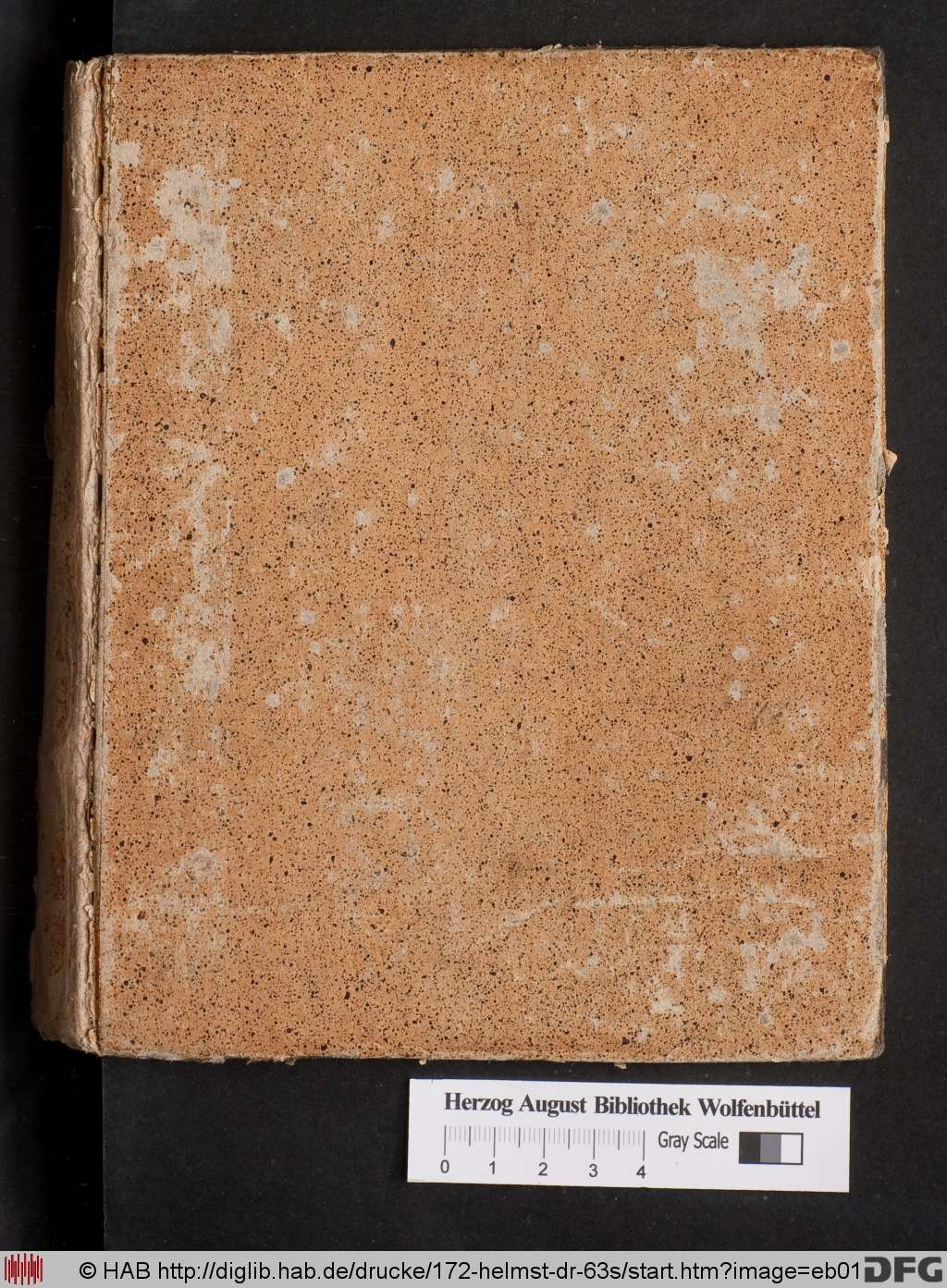http://diglib.hab.de/drucke/172-helmst-dr-63s/eb01.jpg