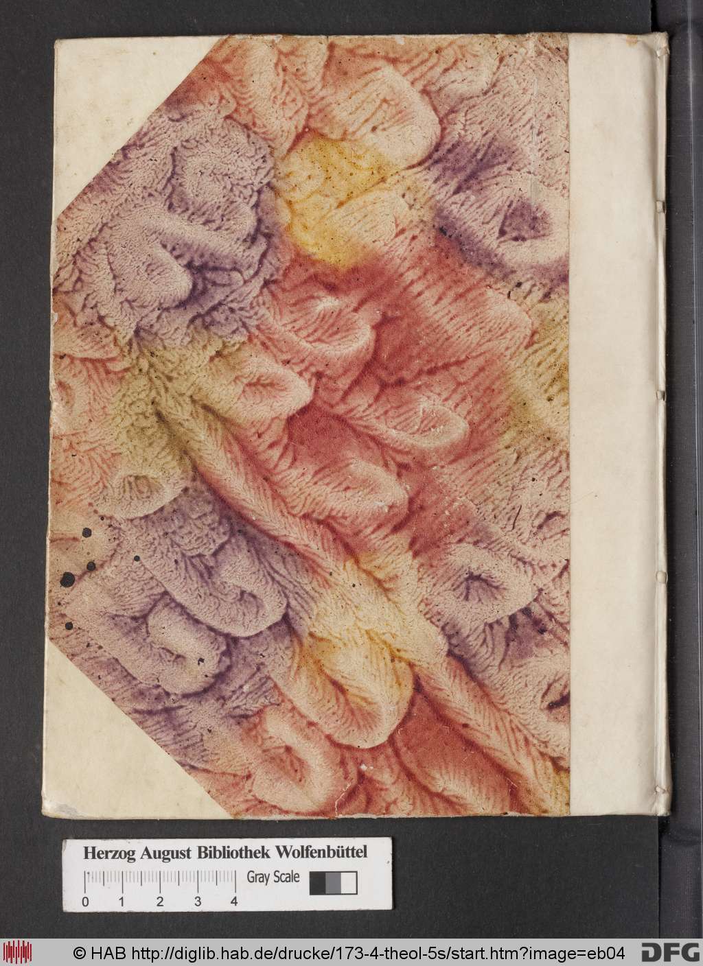 http://diglib.hab.de/drucke/173-4-theol-5s/eb04.jpg