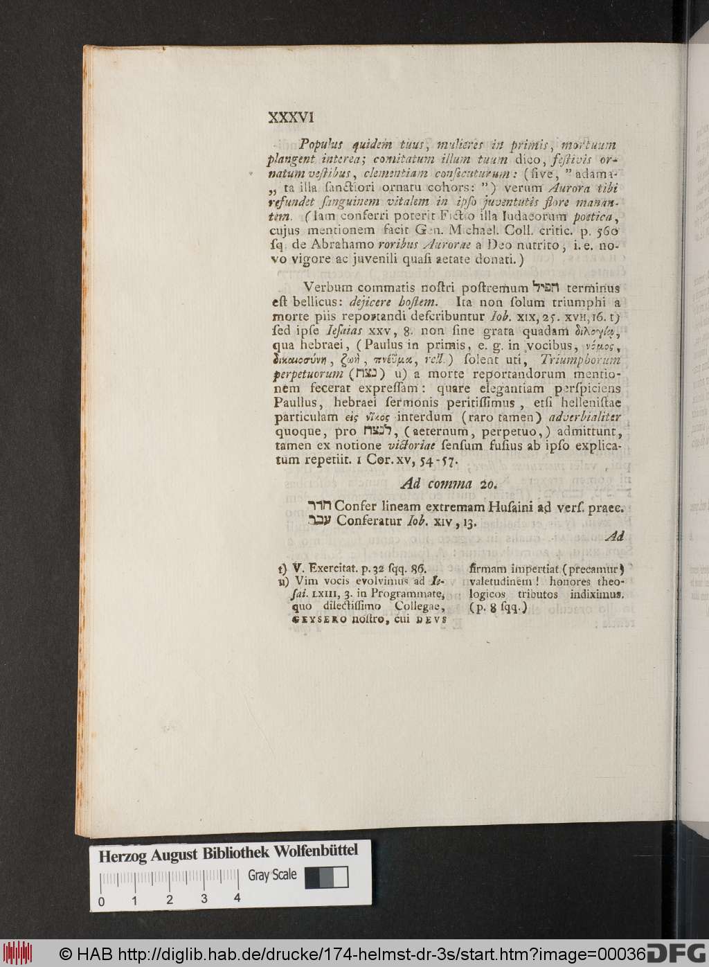 http://diglib.hab.de/drucke/174-helmst-dr-3s/00036.jpg