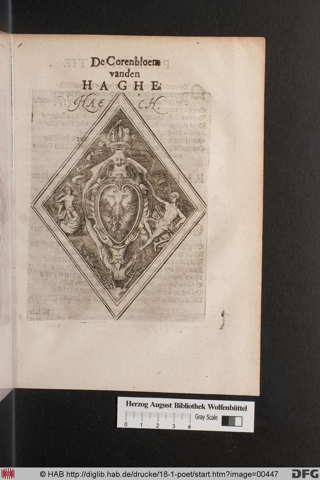 http://diglib.hab.de/drucke/18-1-poet/00447.jpg