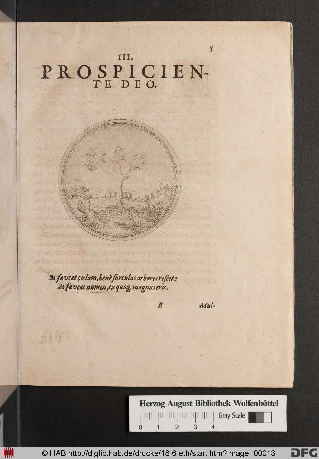 http://diglib.hab.de/drucke/18-6-eth/00013.jpg