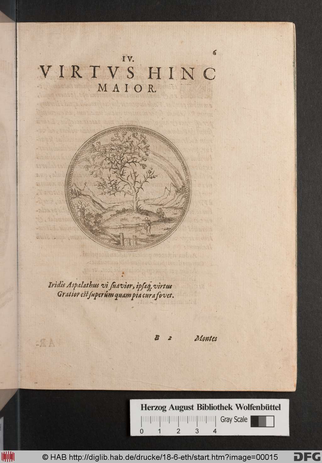 http://diglib.hab.de/drucke/18-6-eth/00015.jpg