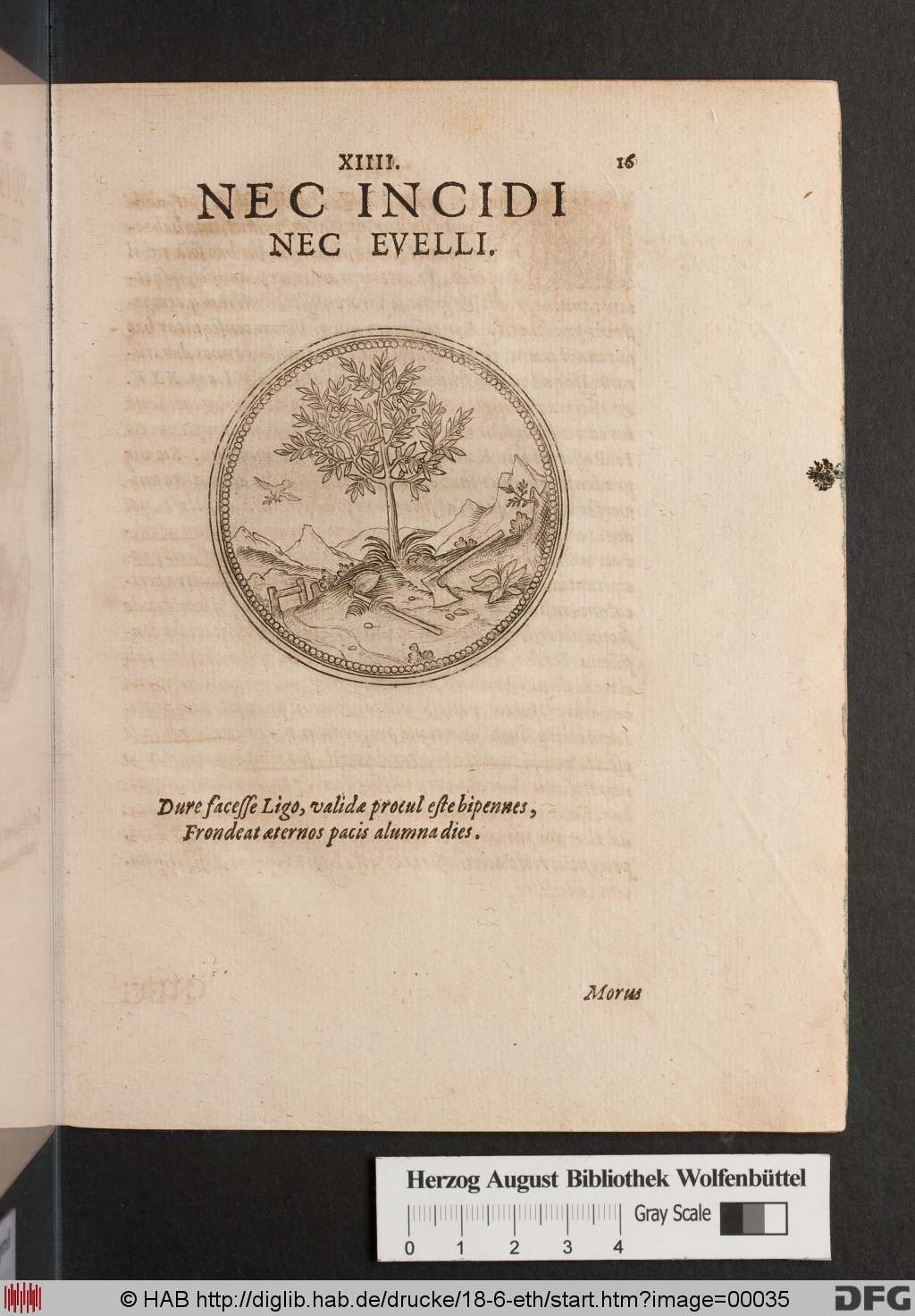 http://diglib.hab.de/drucke/18-6-eth/00035.jpg