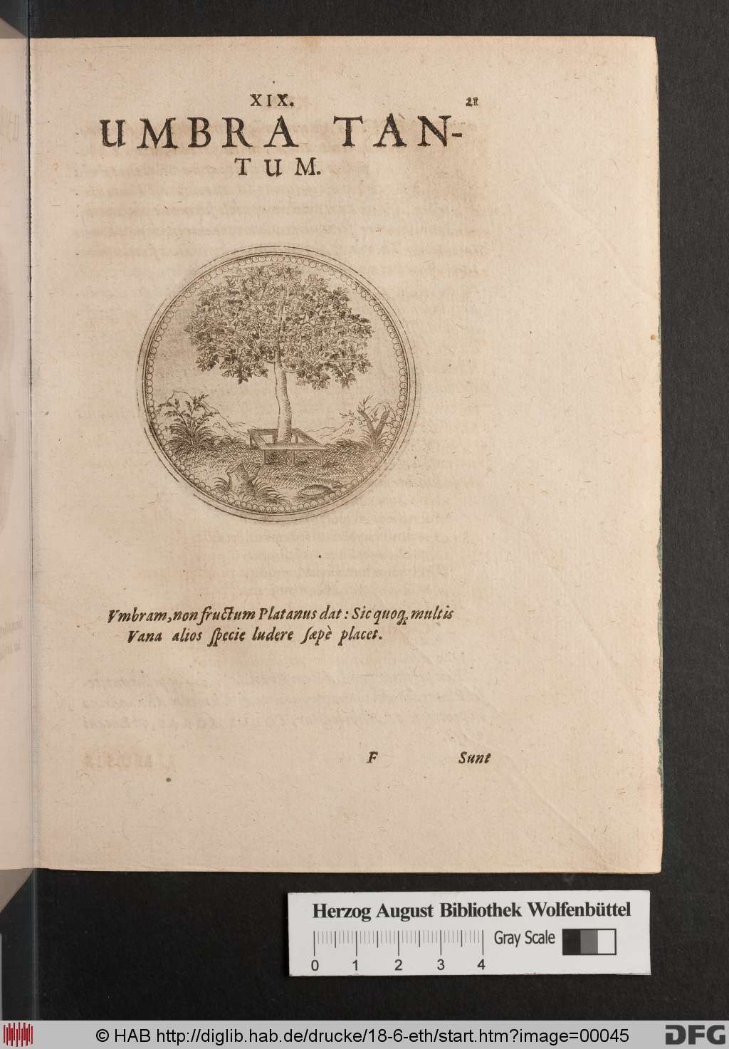 http://diglib.hab.de/drucke/18-6-eth/00045.jpg