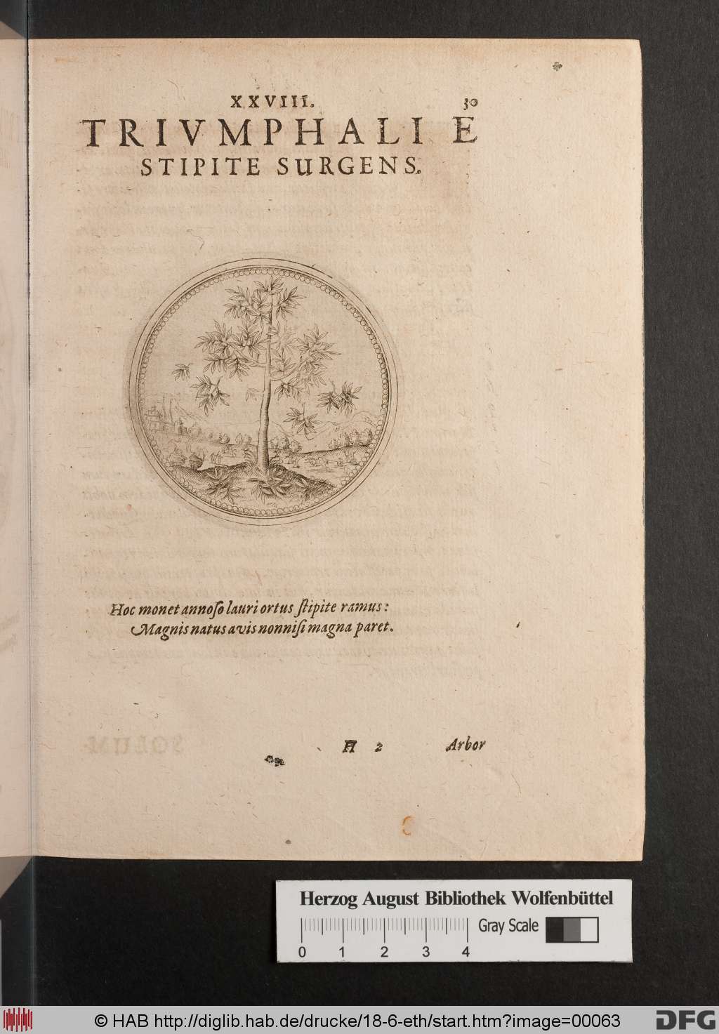 http://diglib.hab.de/drucke/18-6-eth/00063.jpg