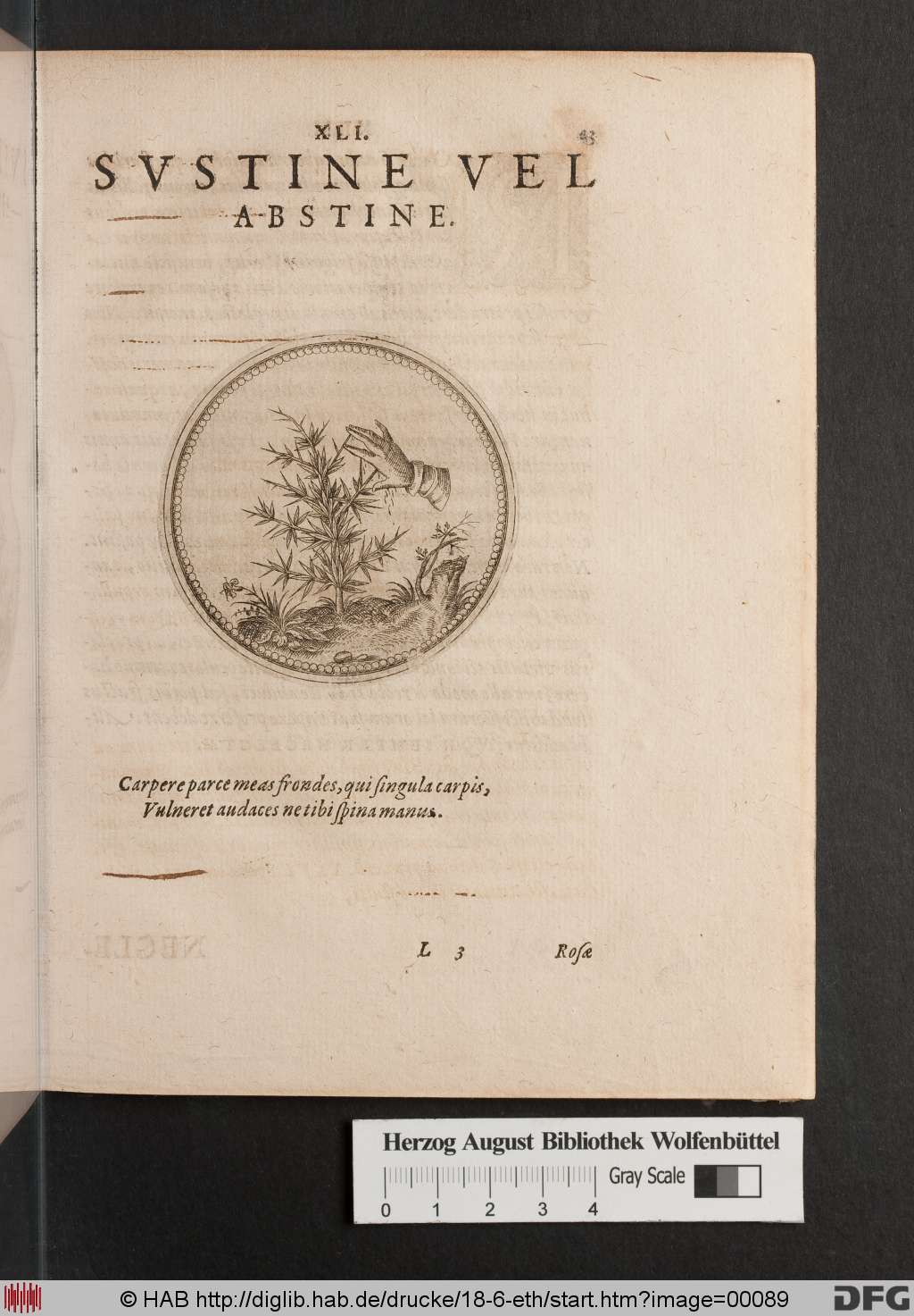 http://diglib.hab.de/drucke/18-6-eth/00089.jpg