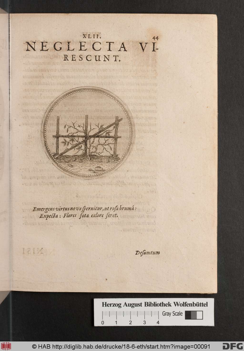 http://diglib.hab.de/drucke/18-6-eth/00091.jpg