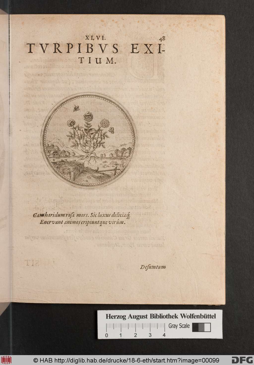 http://diglib.hab.de/drucke/18-6-eth/00099.jpg