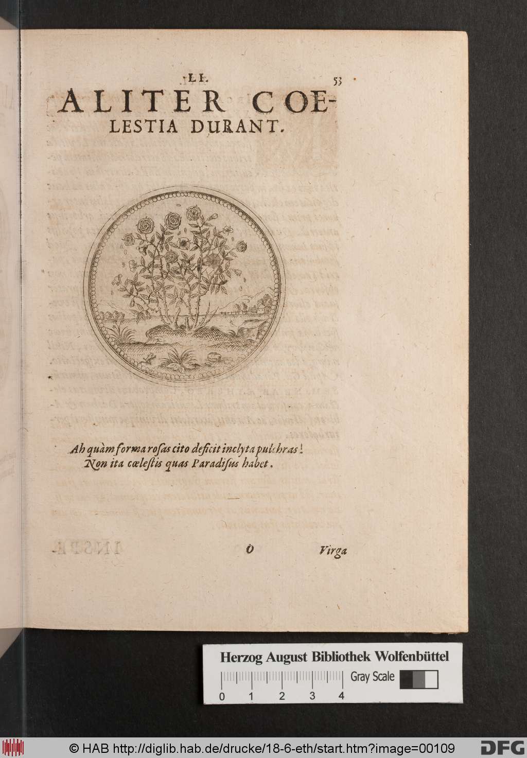 http://diglib.hab.de/drucke/18-6-eth/00109.jpg