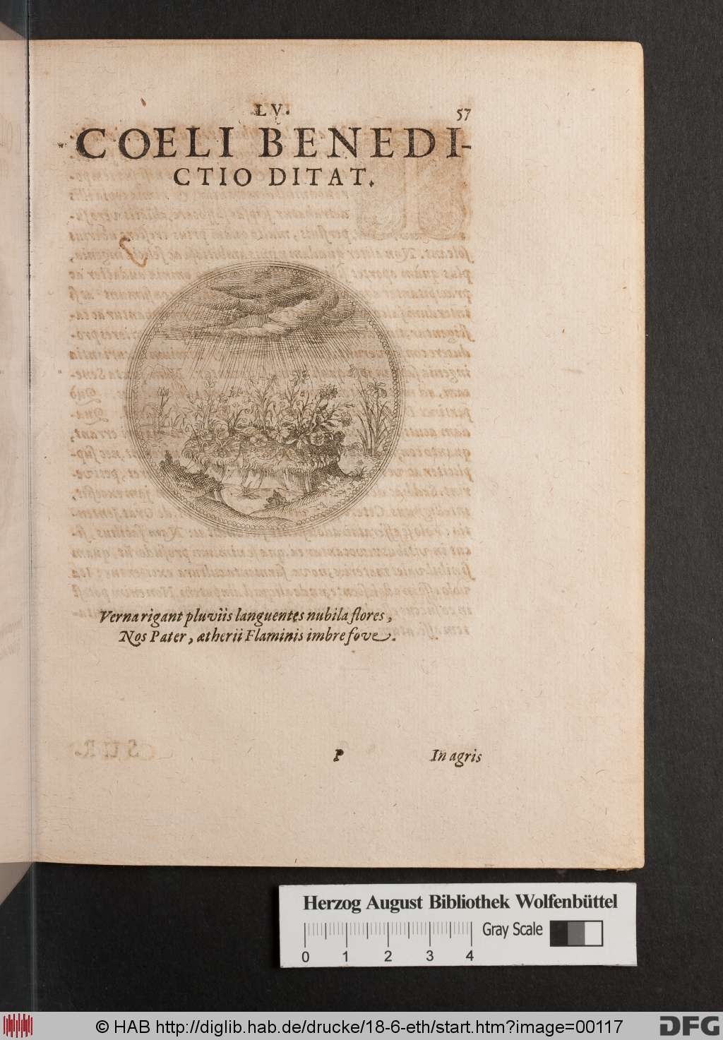http://diglib.hab.de/drucke/18-6-eth/00117.jpg