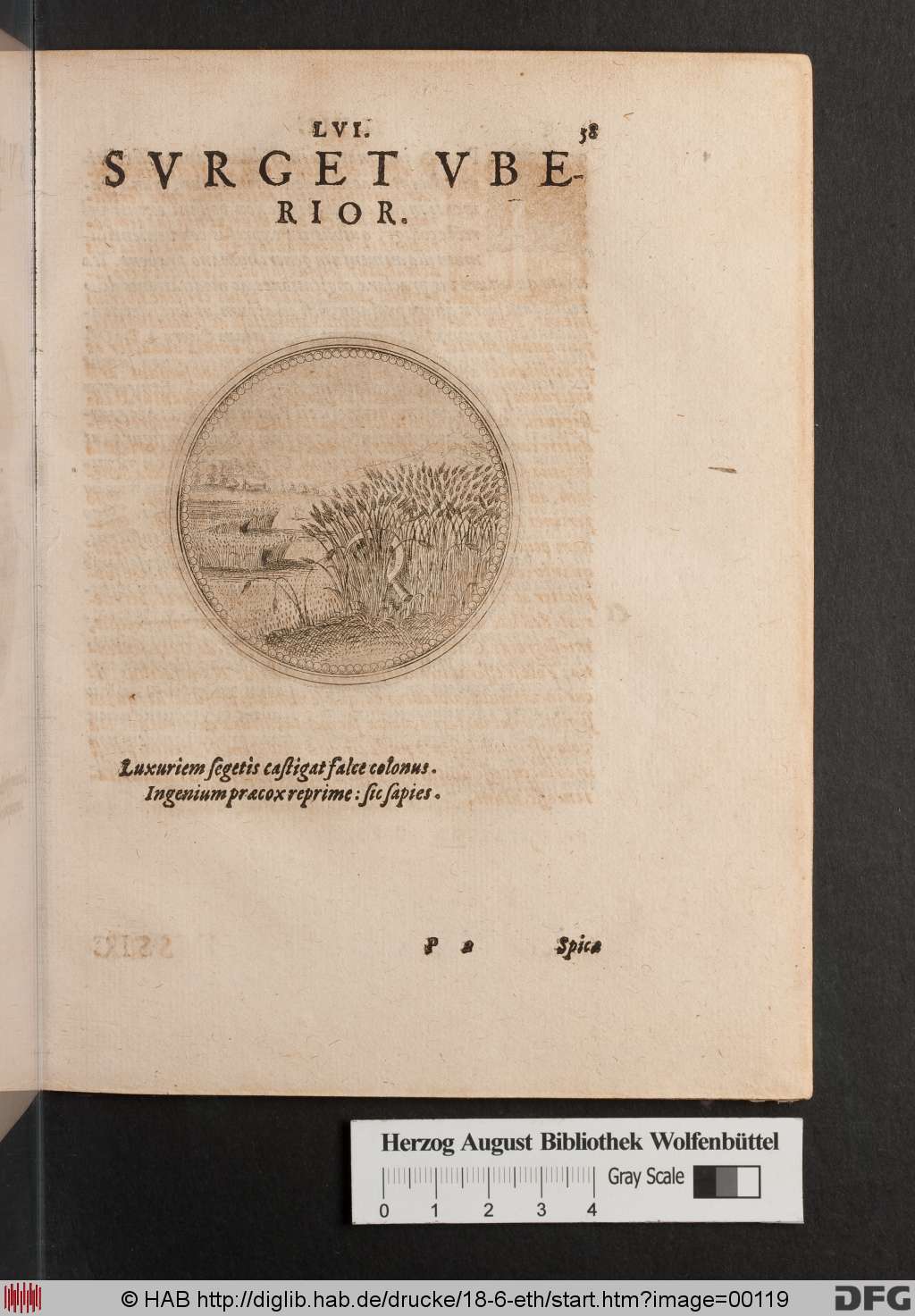 http://diglib.hab.de/drucke/18-6-eth/00119.jpg