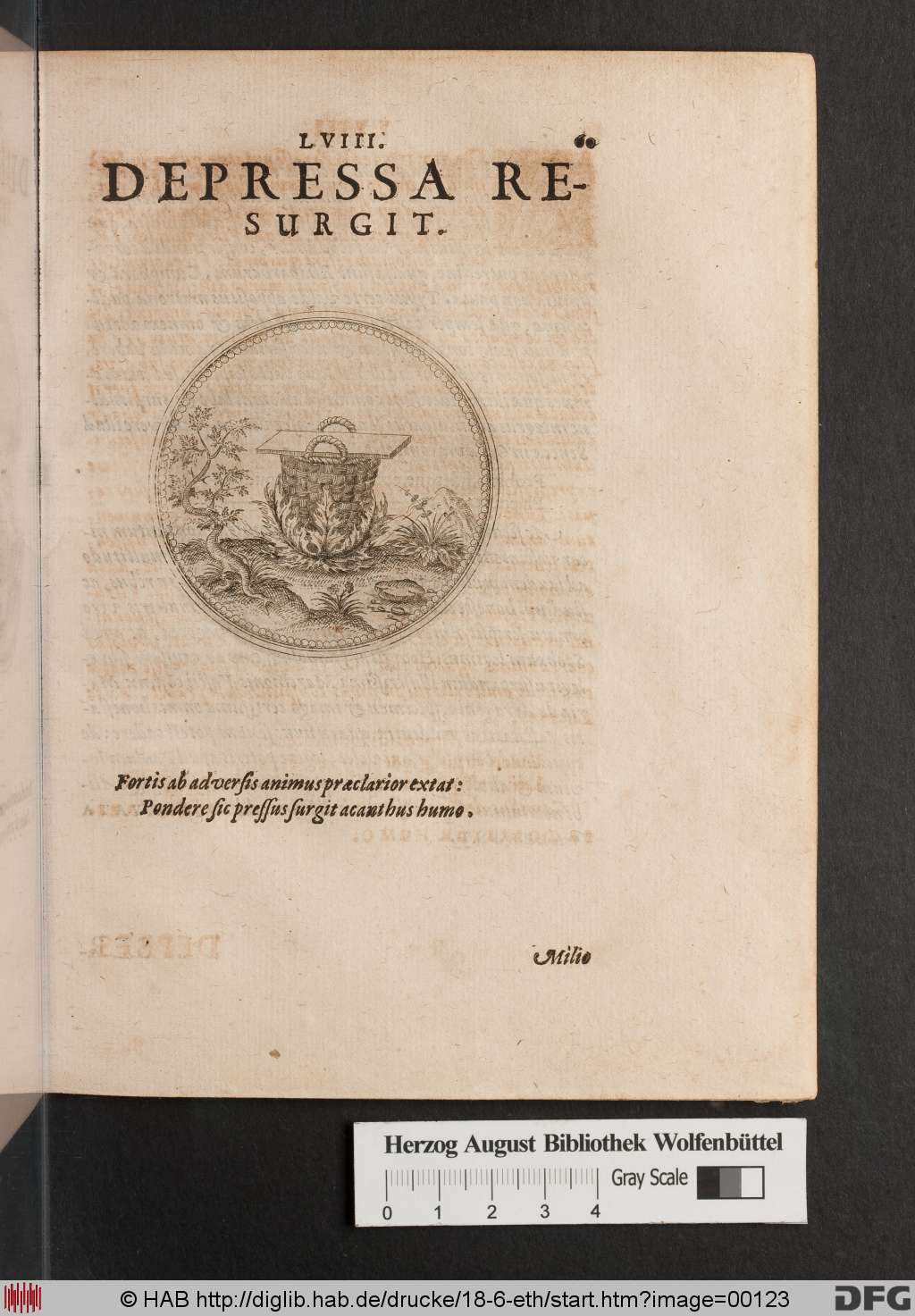 http://diglib.hab.de/drucke/18-6-eth/00123.jpg