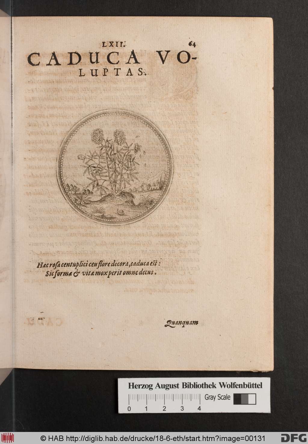 http://diglib.hab.de/drucke/18-6-eth/00131.jpg