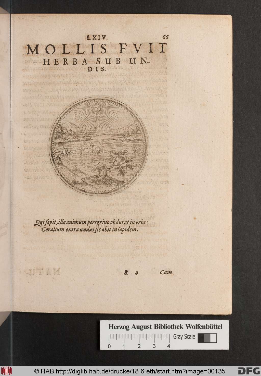 http://diglib.hab.de/drucke/18-6-eth/00135.jpg