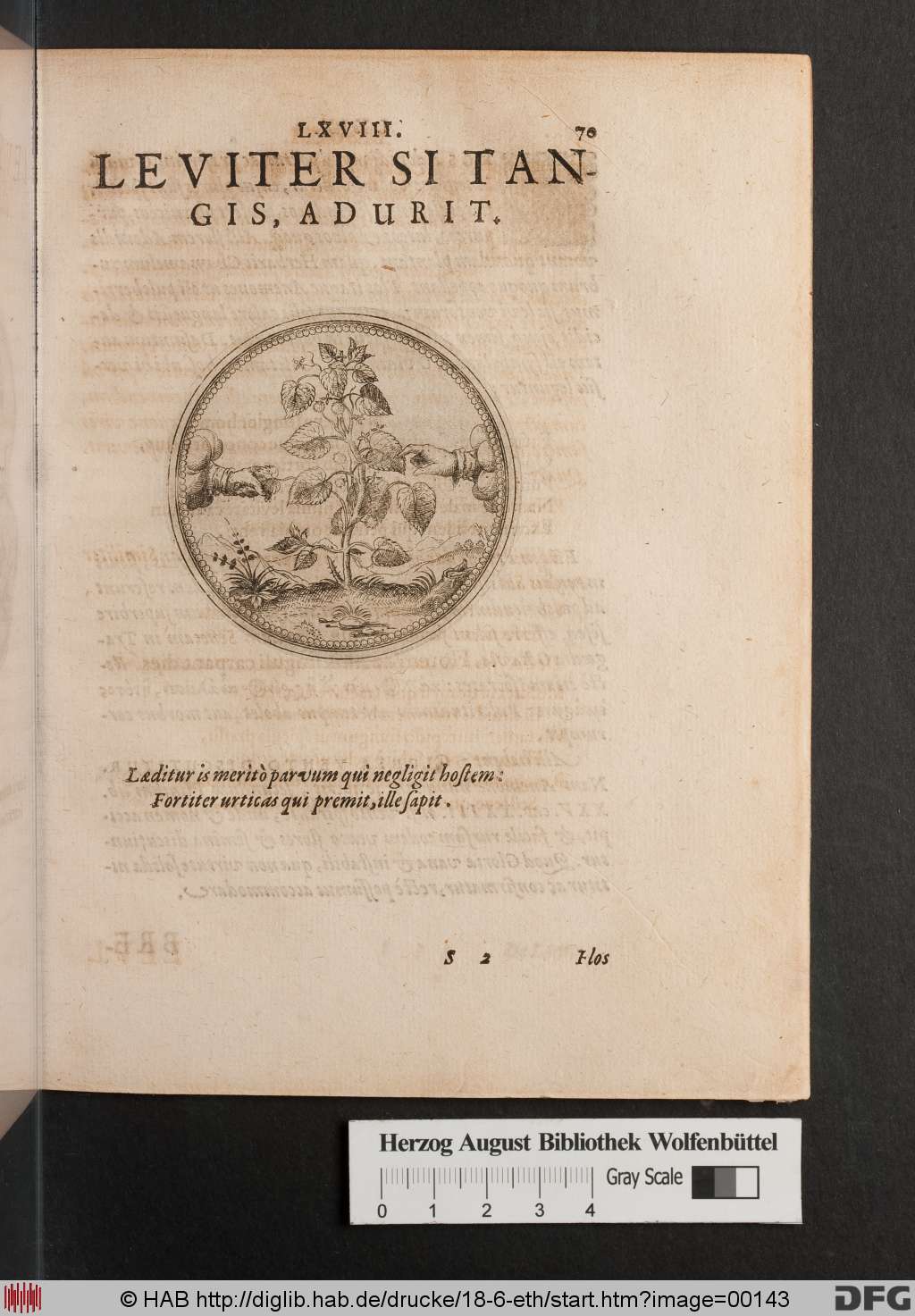http://diglib.hab.de/drucke/18-6-eth/00143.jpg