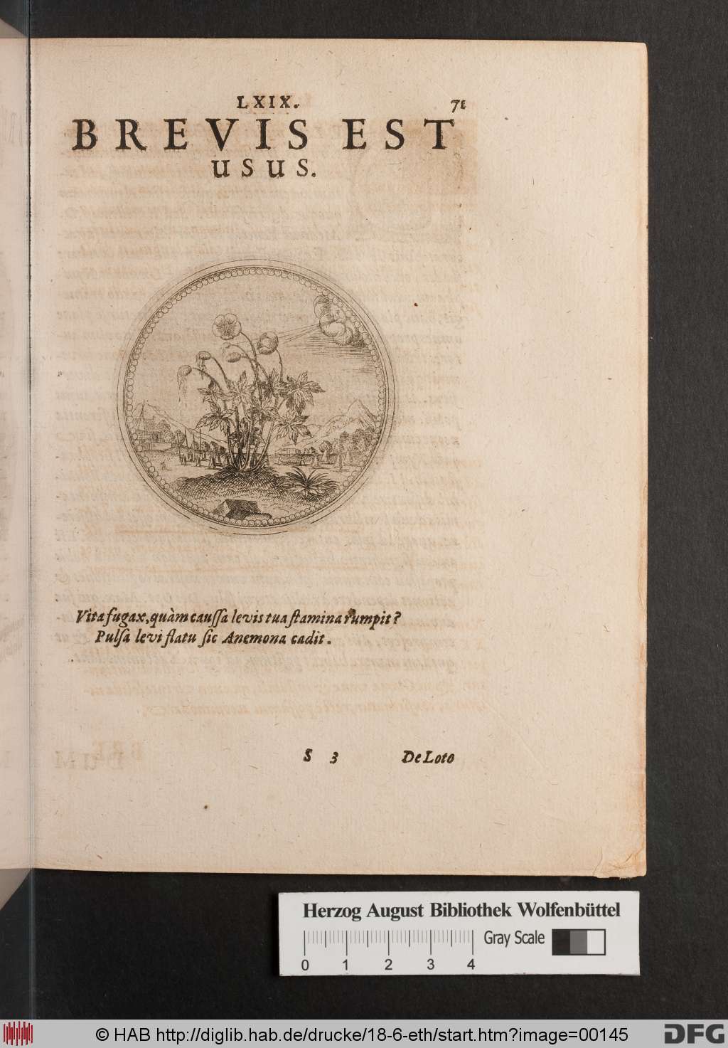 http://diglib.hab.de/drucke/18-6-eth/00145.jpg