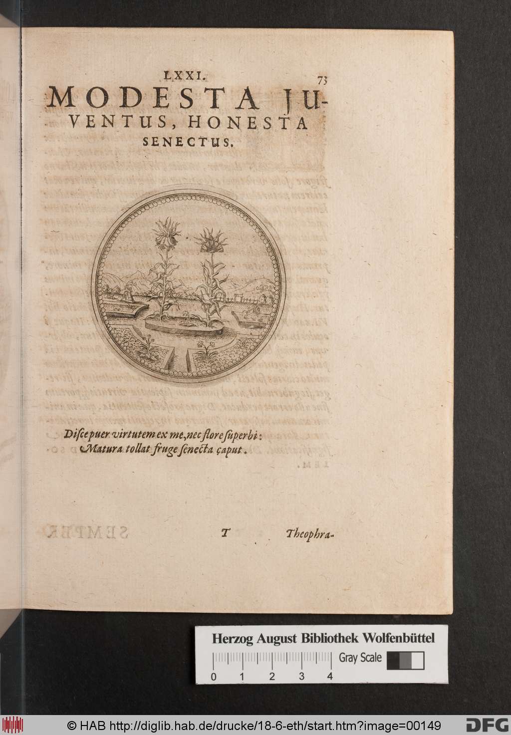 http://diglib.hab.de/drucke/18-6-eth/00149.jpg